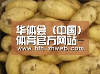 产品展示标题6