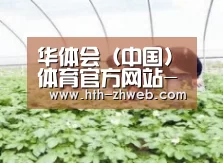 种植基地三