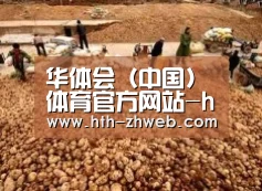 种植基地二