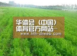 种植基地四