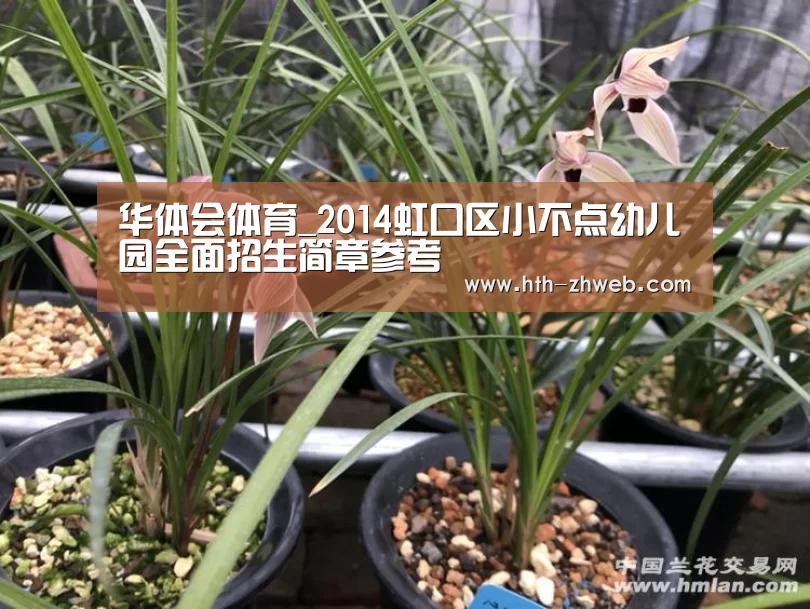 华体会体育_2014虹口区小不点幼儿园全面招生简章参考(图1) 华体会体育