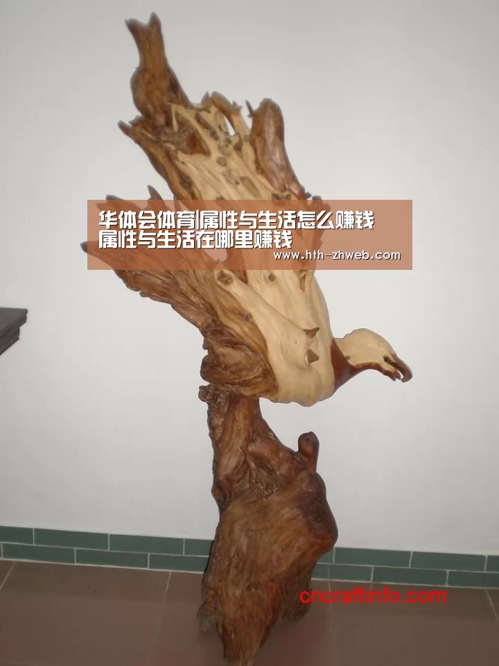 华体会体育