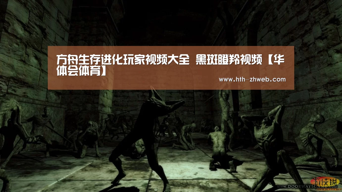华体会体育