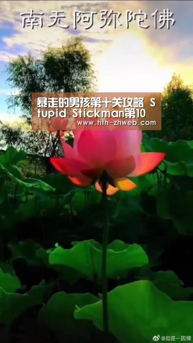 暴走的男孩第十关攻略 Stupid Stickman第10关怎么过:华体会体育(图1) 华体会体育