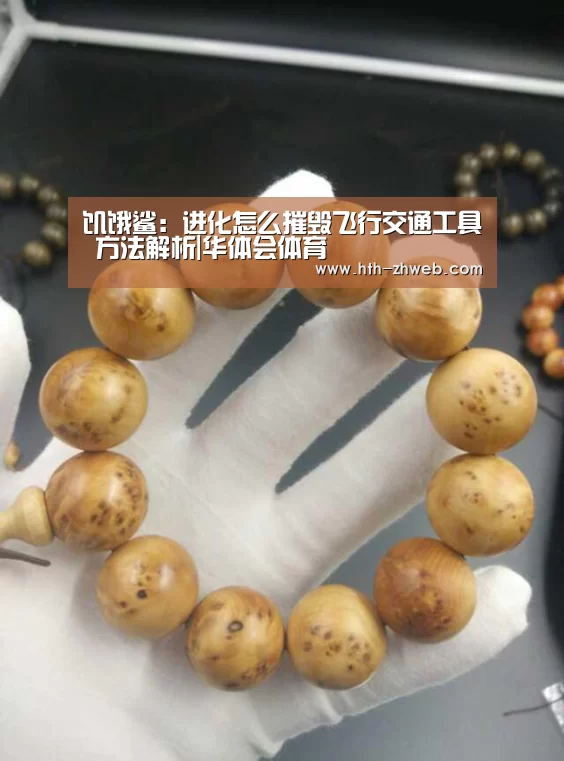 饥饿鲨:进化怎么摧毁飞行交通工具 方法解析|华体会体育(图2) 华体会体育