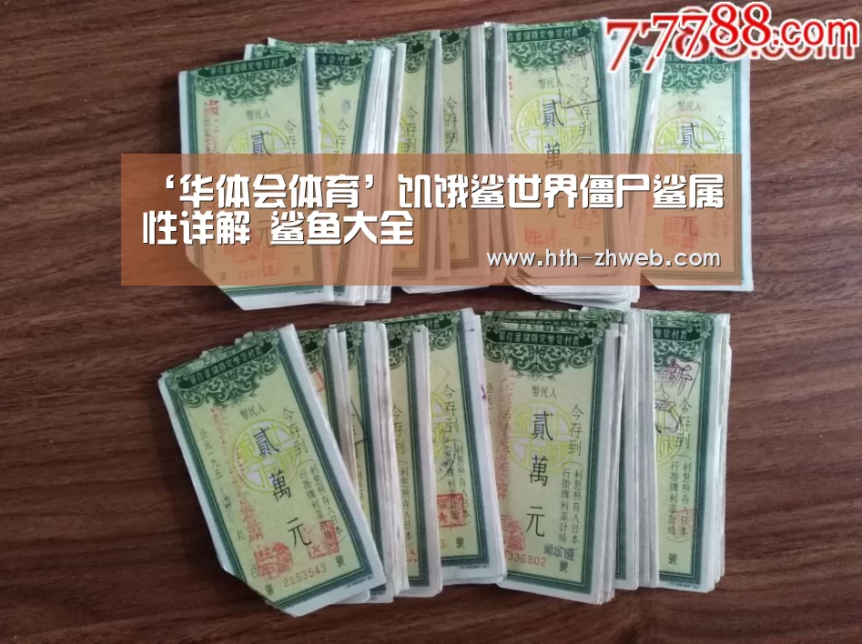 ‘华体会体育’饥饿鲨世界僵尸鲨属性详解 鲨鱼大全(图2) 华体会体育